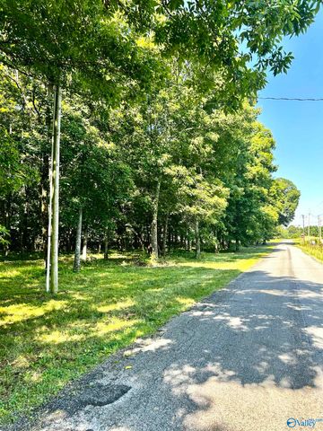 11576 Little Coffman Road, Lester, AL 35647