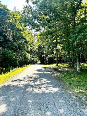 11576 Little Coffman Road, Lester, AL 35647