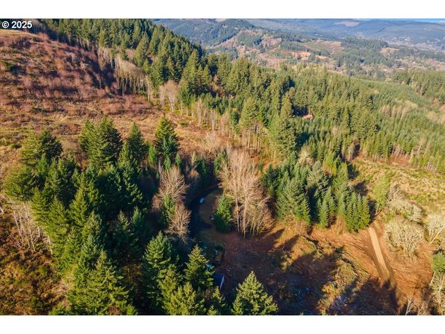 14250 Nw BEAR Rd, Yamhill, OR 97148