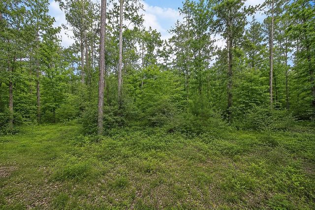 247 County Road 6763, Dayton, TX 77535