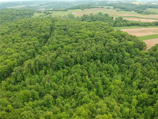 218 Collins Rd, North Sewickley Twp, PA 16117