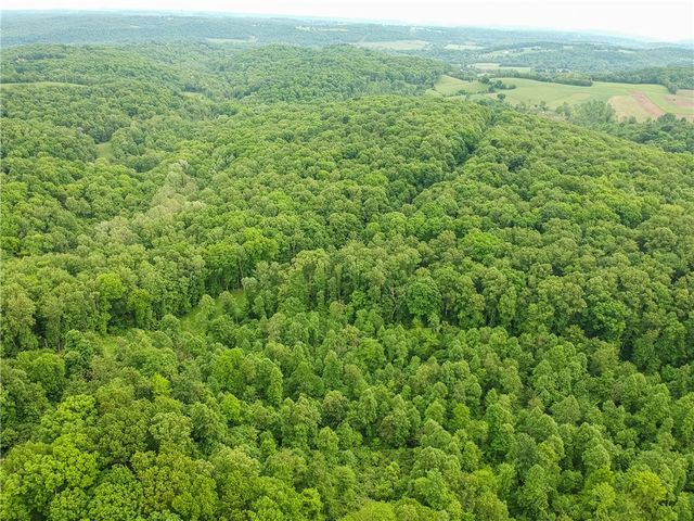 218 Collins Rd, North Sewickley Twp, PA 16117