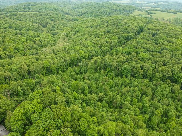 218 Collins Rd, North Sewickley Twp, PA 16117