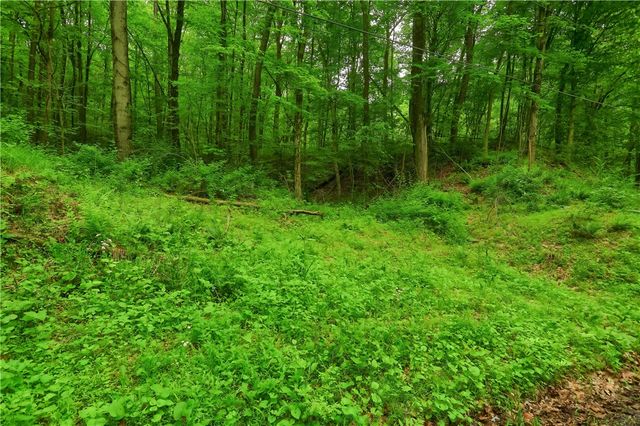 218 Collins Rd, North Sewickley Twp, PA 16117