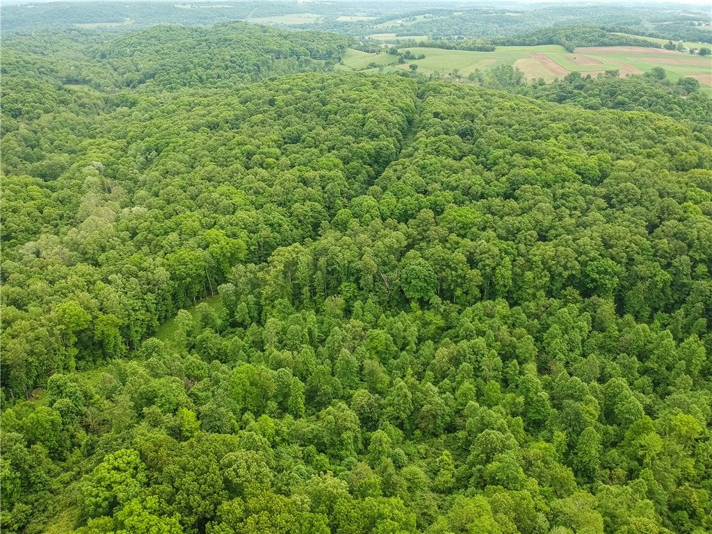 218 Collins Rd, North Sewickley Twp, PA 16117