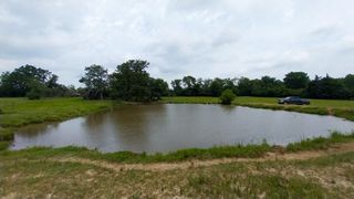 1 County Road 3465, Lovelady, TX 75851