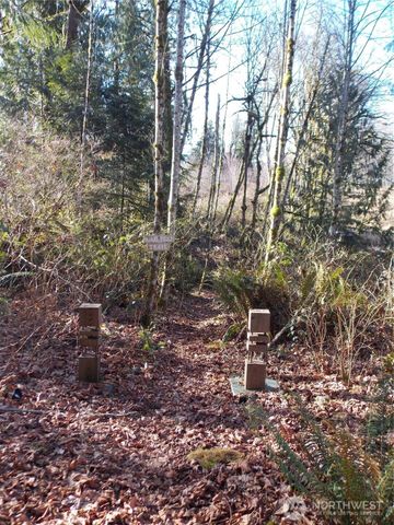 421 Young Road, Mossyrock, WA 98564