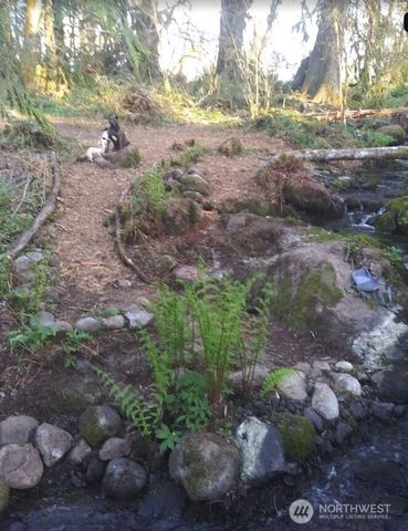 421 Young Road, Mossyrock, WA 98564