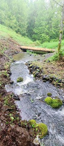 421 Young Road, Mossyrock, WA 98564