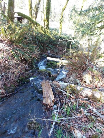 421 Young Road, Mossyrock, WA 98564