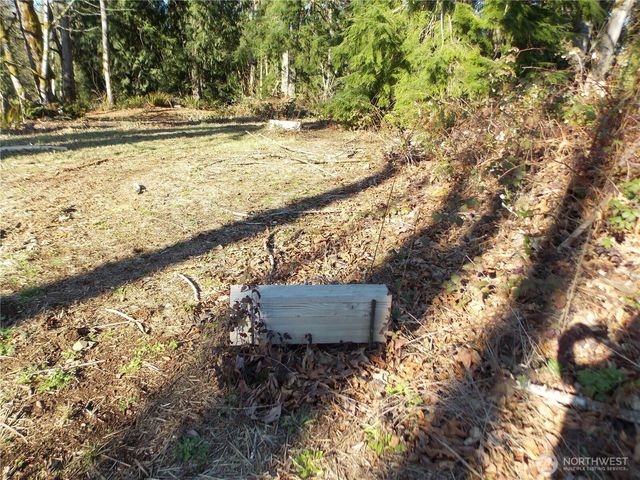 421 Young Road, Mossyrock, WA 98564