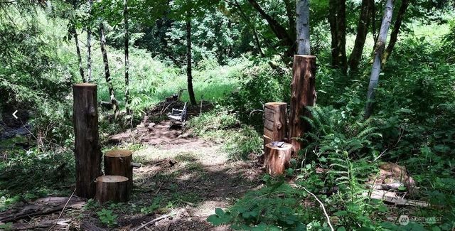 421 Young Road, Mossyrock, WA 98564