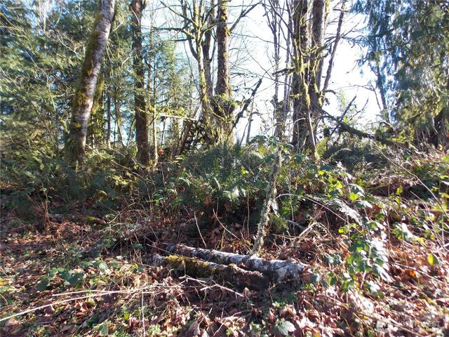 421 Young Road, Mossyrock, WA 98564