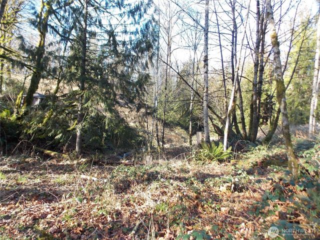 421 Young Road, Mossyrock, WA 98564