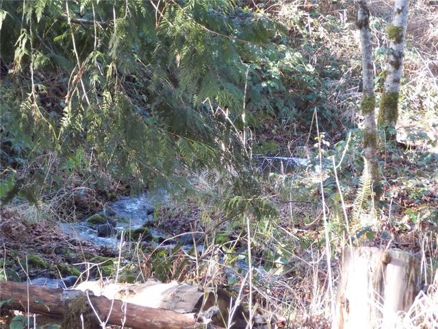 421 Young Road, Mossyrock, WA 98564