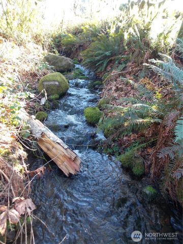 421 Young Road, Mossyrock, WA 98564