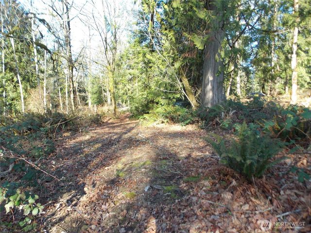 421 Young Road, Mossyrock, WA 98564