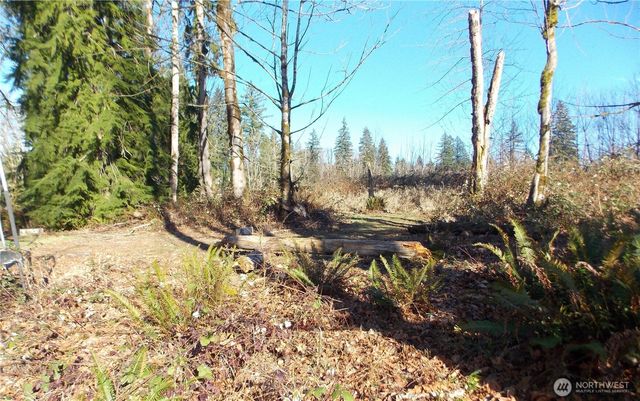 421 Young Road, Mossyrock, WA 98564