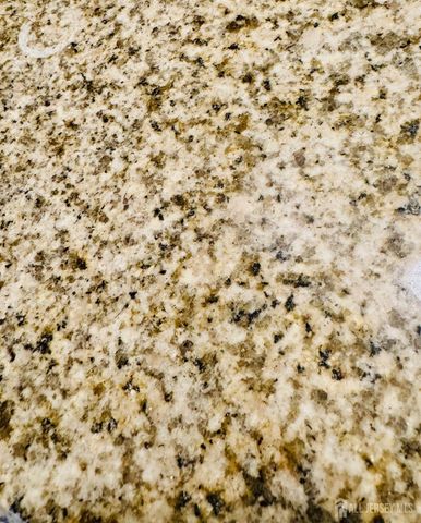 1 Spring Street 1806, New Brunswick, NJ 08901