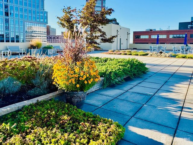 1 Spring Street 1806, New Brunswick, NJ 08901