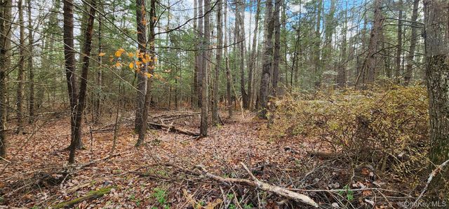 00 Mongaup Road, Monticello, NY 12701