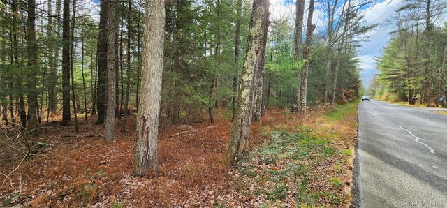 00 Mongaup Road, Monticello, NY 12701