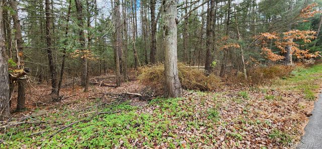 00 Mongaup Road, Monticello, NY 12701