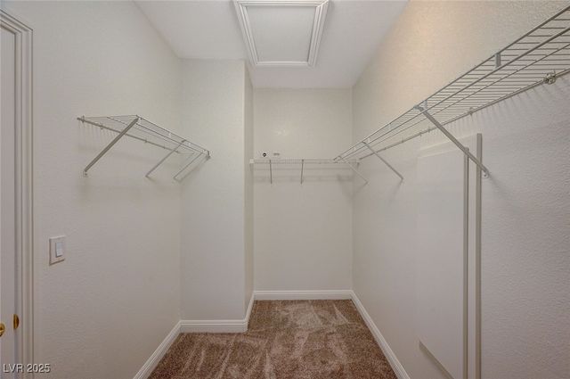 7605 Tiny Tortoise Street, Las Vegas, NV 89149