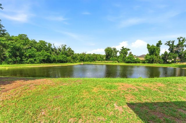 9847 EDMONTON DRIVE, Land O Lakes, FL 34638