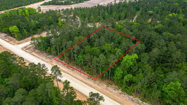 15583 Wood Grove Way, Willis, TX 77378