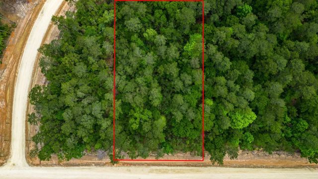15583 Wood Grove Way, Willis, TX 77378