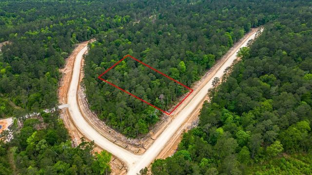 15583 Wood Grove Way, Willis, TX 77378