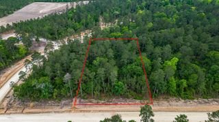 15583 Wood Grove Way, Willis, TX 77378