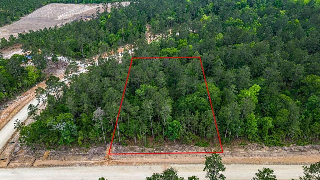 15583 Wood Grove Way, Willis, TX 77378
