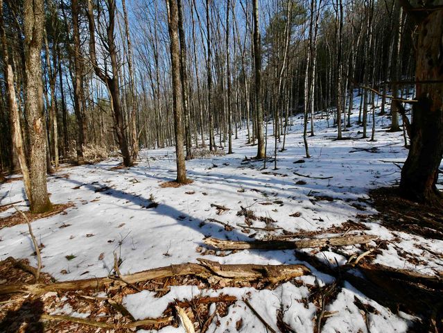 202 River Road, Lyme, NH 03768