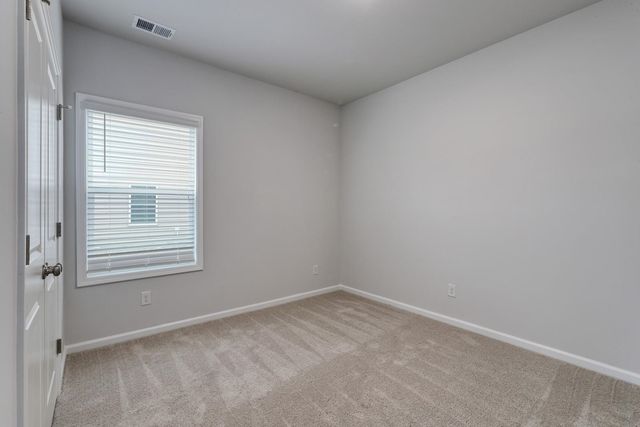 453 Atamasco Ct., Conway, SC 29526