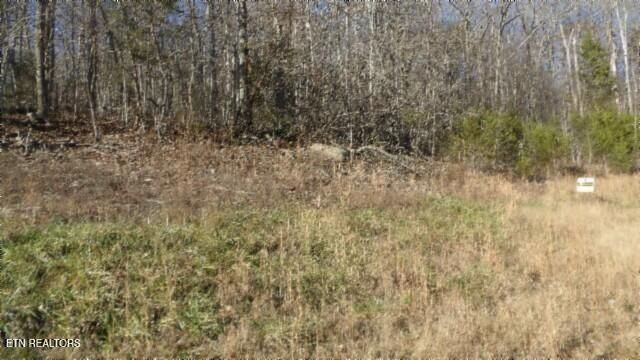 Lot 46 Cheyenne Drive, Jamestown, TN 38556