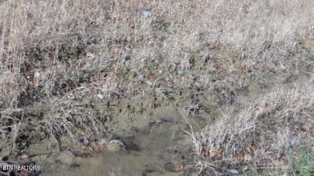 Lot 46 Cheyenne Drive, Jamestown, TN 38556