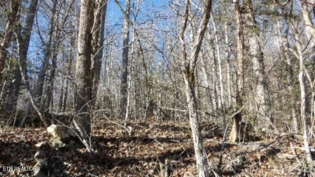 Lot 46 Cheyenne Drive, Jamestown, TN 38556