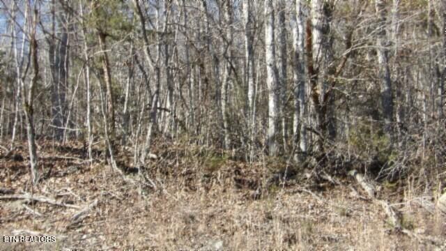 Lot 46 Cheyenne Drive, Jamestown, TN 38556