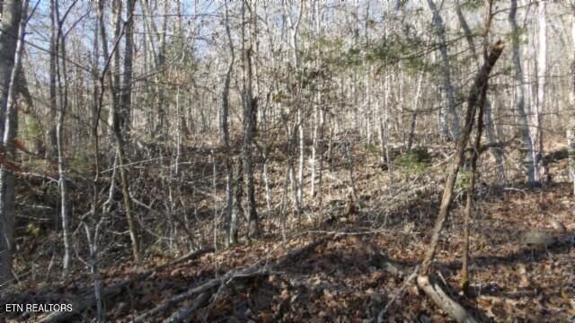 Lot 46 Cheyenne Drive, Jamestown, TN 38556