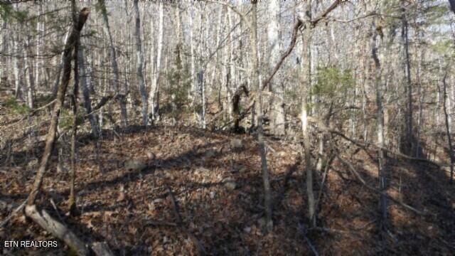 Lot 46 Cheyenne Drive, Jamestown, TN 38556