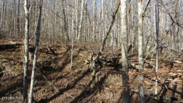 Lot 46 Cheyenne Drive, Jamestown, TN 38556