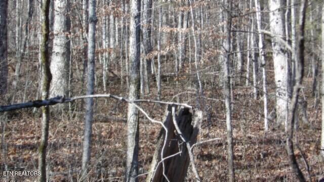 Lot 46 Cheyenne Drive, Jamestown, TN 38556