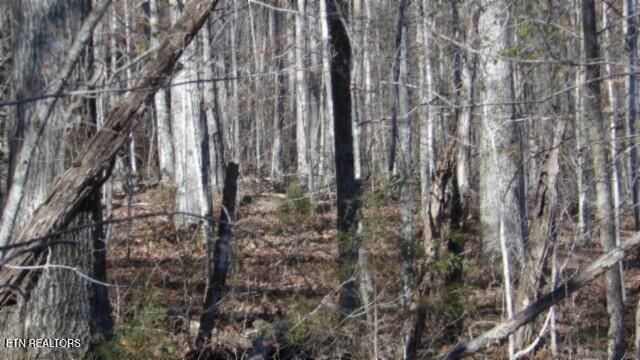 Lot 46 Cheyenne Drive, Jamestown, TN 38556