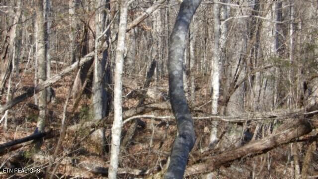 Lot 46 Cheyenne Drive, Jamestown, TN 38556