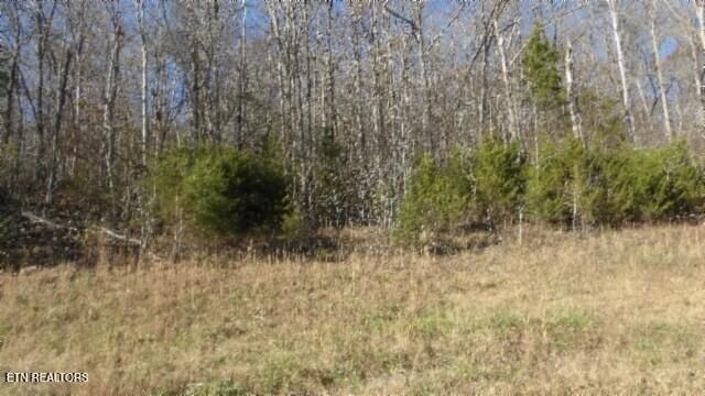 Lot 46 Cheyenne Drive, Jamestown, TN 38556