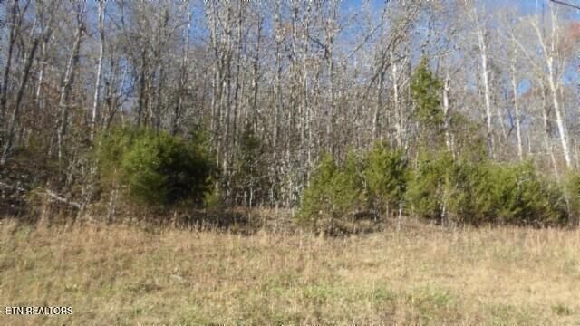 Lot 46 Cheyenne Drive, Jamestown, TN 38556
