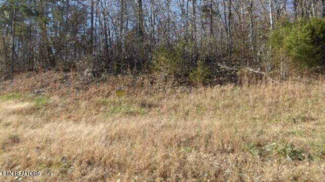 Lot 46 Cheyenne Drive, Jamestown, TN 38556