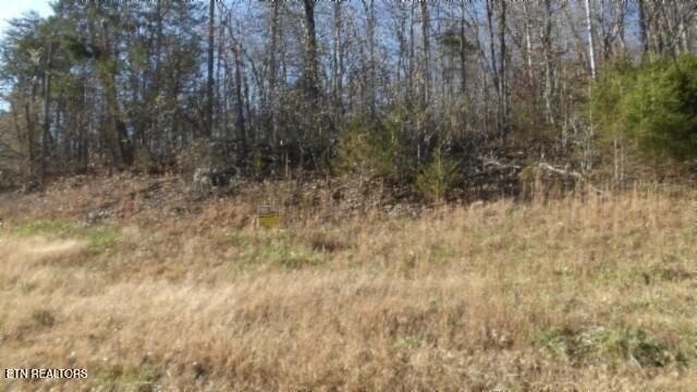 Lot 46 Cheyenne Drive, Jamestown, TN 38556